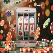 429winvn